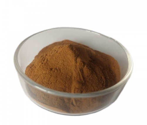 靈芝提取物/Lucidum Ganoderma Extract